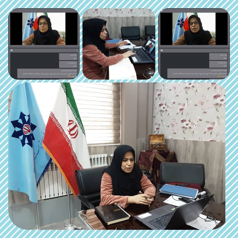 وبینار مدیر